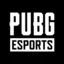 PUBG Esports